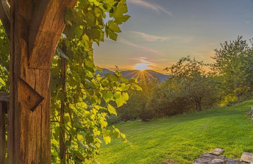Hrib pri Hinjah Other | Discover Fun and Unique Cottages at Grey Green Retreat