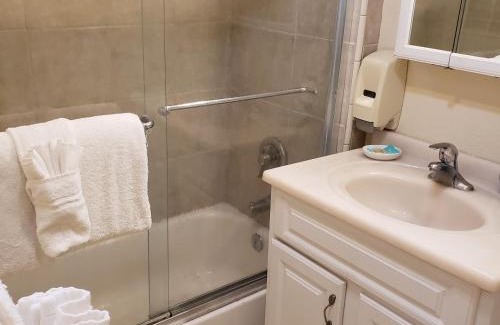 Big Bear Lake Resort | Relax at Grey Squirrel Resort: Pet-Friendly Oceanfront Retreat