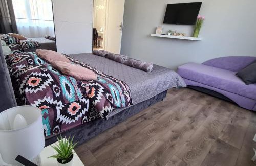 Zajecar Apartment | Pet-Friendly Grey & Sunny Apartments Zaječar - Rated 9.9/10
