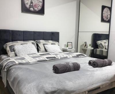 Zajecar Apartment | Pet-Friendly Grey & Sunny Apartments Zaječar - Rated 9.9/10