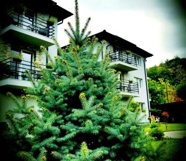 Calimanesti House | Ideal Grey Villas: Family-Friendly with Pool & Hot Tub