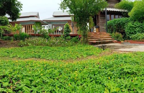Thung Satok House | Discover Greyhouse Homestay: 4-Star Oceanfront Getaway