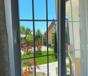 Maltakva Hotel | Discover GRIGOLETI River Club: A Pet-Friendly Retreat