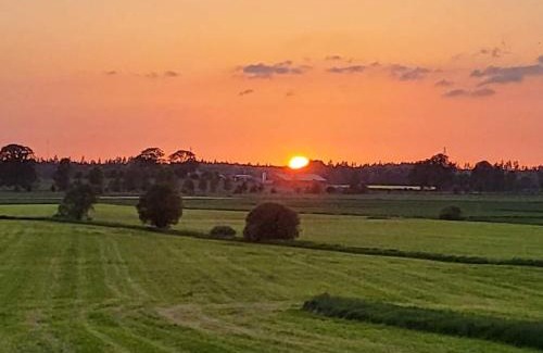 Grimslov Bed & Breakfast | Pet-Friendly Grimslöv Wärdshus with Hot Tub & Breakfast