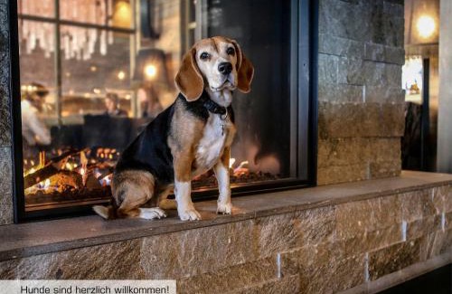 Davos Hotel | Discover Grischa - Das Hotel Davos: Rated 9/10 & Pet Friendly