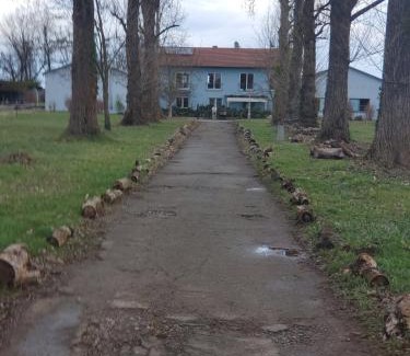 Lahr Apartment | Pet-Friendly 3-Bedroom Retreat on a Horse Farm