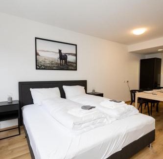 Wurzburg City Centre Apartment | Spacious Apartment in Historic Altstadt, Family-Friendly Stay