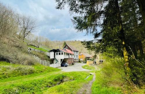 Elbingerode Apartment | Discover Große Wohnung am Bach - Pet Friendly Retreat
