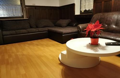 Schonau Apartment | Family-Friendly Stay at Große Wohnung im Odenwald