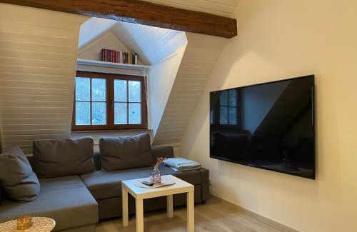 Auerbach Apartment | Delightful Grossherzogliches Jagerhaus with Family-friendly Dining