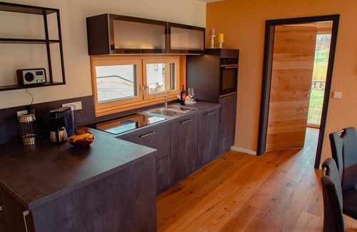 Bad Alexandersbad Apartment | Spacious Holiday Home for Four with Sunny Terrace & Spa