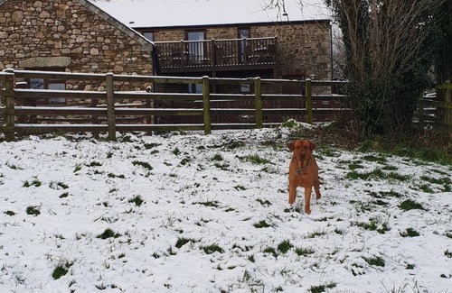 St Wenn House | Grooms Cottage: Pet-Friendly Retreat for Family Getaways