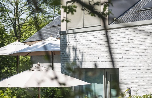 Ghent Apartment | Cozy Ground Floor Studio Amidst Green Oasis in Ghent