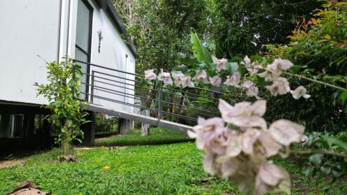 Moniquira Other | Pet-Friendly Guadalajara Glamping with Hot Tub & Breakfast