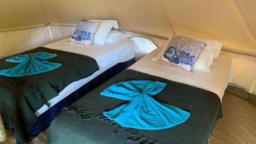 Itarema Other | Beachfront Guajiru Kite-Safari with Family-Friendly Amenities