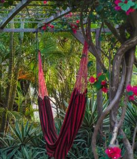 Itarema Other | Beachfront Guajiru Kite-Safari with Family-Friendly Amenities