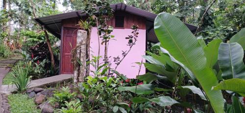 La Tigra Hotel | Discover Guapote Lodge: Pet-Friendly Retreat with Pool