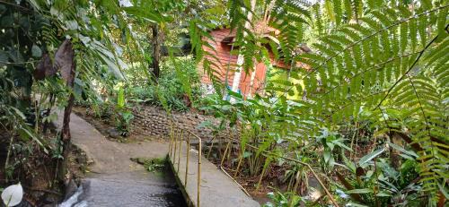 La Tigra Hotel | Discover Guapote Lodge: Pet-Friendly Retreat with Pool