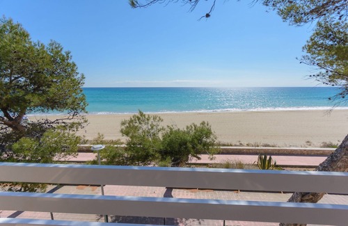 Miami Platja Apartment | Top-Rated Guardamar 2/4 Zeus Apartments with Ocean Views