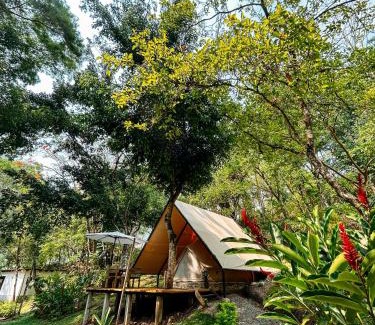 San Agustin Lanquin Hotel | Hotel Kopal: Oceanfront Escape with Pool & Pet-Friendly Perks