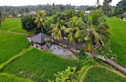 Sawan Villa | Family-Friendly Stay at Gubuk Kurnia - Rated 7/10
