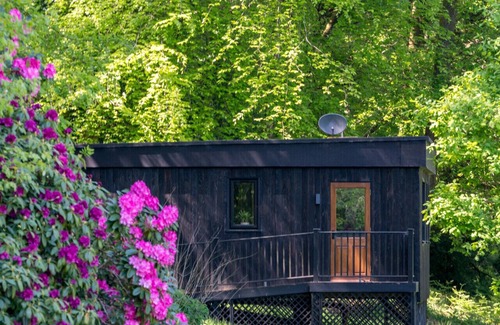 Hindhead Cabin | Cozy Guest Cabin in the Hampshire Woods - Rated 9.8/10