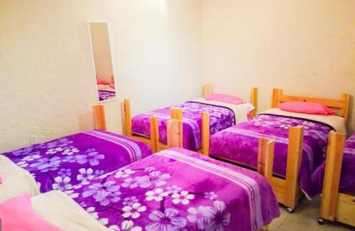 Mexico City House | Budget-Friendly Guest Green with Breakfast and Kitchen Access