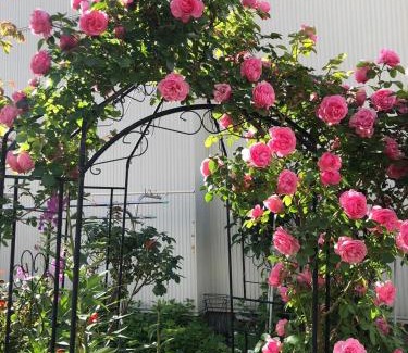 Otaru House | Guest House 来夢