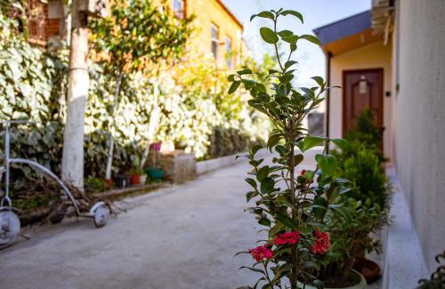 Kutaisi Apartment | Family-Friendly Comfort at Guest House BALU Awaits You