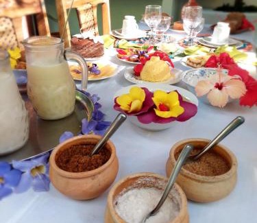 Marau House | Beachfront Guest House Boki da Zezé with Spa & Ocean Views