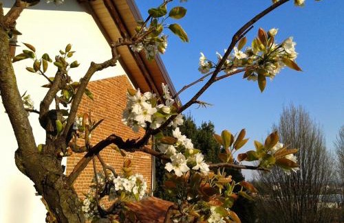 Thes Bed & Breakfast | Relaxing Retreat at Guest House Cascina Belsito