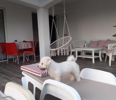 Zelenika House | Budget-Friendly Stay at Guest House Cvoro with Great Amenities