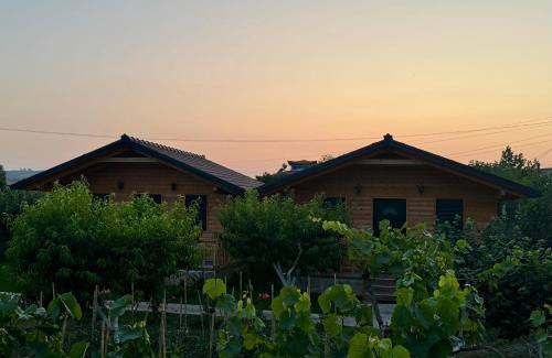 Ura Vajgurore House | Guest House Dimal Berat