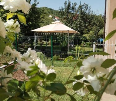 Niska Banja House | Explore Guest House Dimitrije with Oceanfront Pool Access