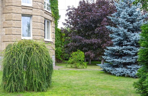 Moskovsky District House | Perfect Stay at Guest House DOM 18 with Pool & Breakfast