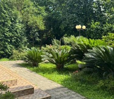 Makhinjauri House | Top-Rated Guest House Giorgi with Ocean Views & Pet-Friendly