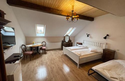 Sfantu Gheorghe House | Guest House Hena: Pet-Friendly Retreat with Top Ratings