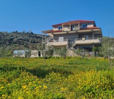 Berat House | Pet-Friendly Guest House Ilir - Rated 9.8/10 by Guests