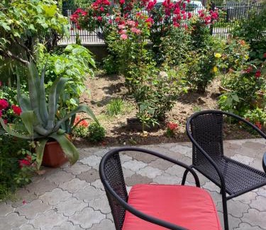 Transcarpathia House | Family-Friendly Guest House in Drachino with Great Reviews