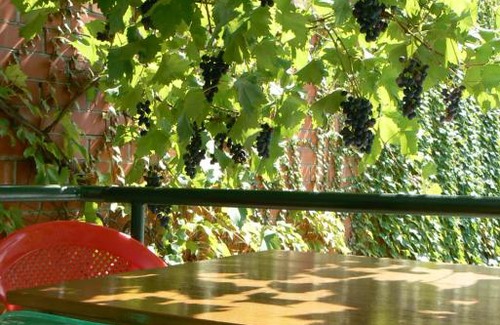 Gelendzhik House | Top-Rated Guest House Irina with Full Kitchen Access
