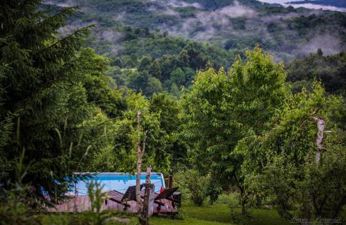 Radatovici House | Oceanfront Guest House Lagotto's Peak with Pool & Breakfast