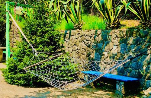 Mtsvane Kontskhi House | Cozy Guest House Lasha with Oceanfront Views and Breakfast