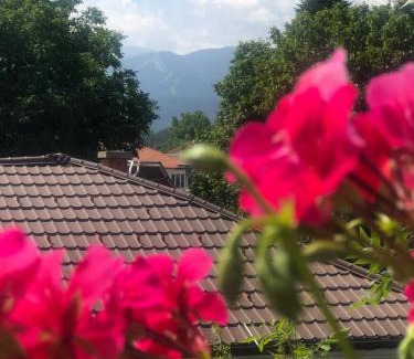 Samokov House | Discover Guest House Legeto: Family-Friendly Getaway