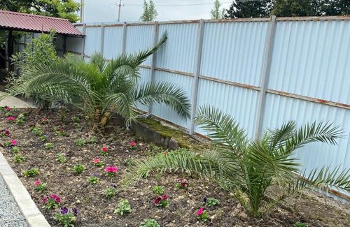 Tsandripsh House | Ocean View Retreat at Guest House Lev - Rated 9/10
