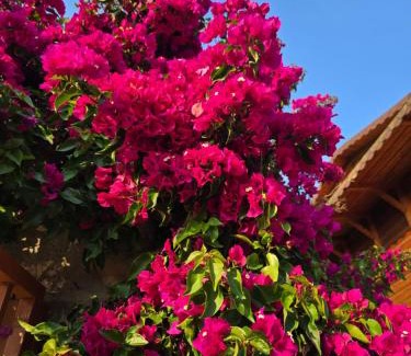 Qazim Pali House | Ocean View Guest House Luiza: Rated 9/10 with Breakfast