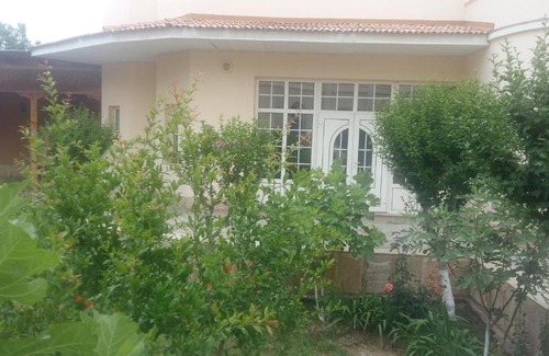 Tashkent House | Discover Guest House MAMURA: Family-Friendly Retreat
