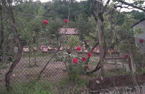 Tsqaltubo House | Cozy Guest House Mekvena with Pool and Child-Friendly Fun
