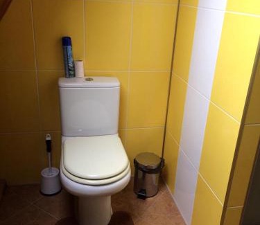 Novi Petrivtsi House | Top-Rated Guest House on Ivana Franka for Families & Pets