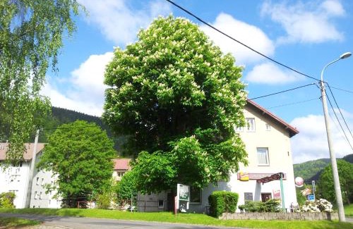 Merklin House | Pet-Friendly Stay at Guest House Pod Lesem Merklín