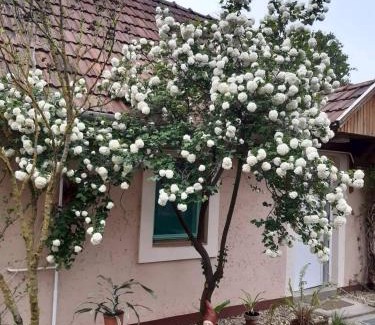 Egerszalok House | Inviting Guest House Rózsakert: Pet-Friendly & Accessible Stay